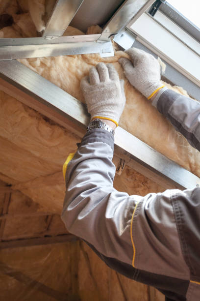 Best Insulation Installation Services in Broad Creek, NC